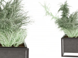 Collection Plant Vol 14 3D Model