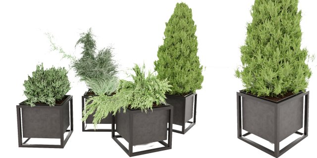 Collection Plant Vol 14 3D Model .c4d .max .obj .3ds .fbx .stl .blend 