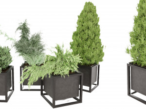 Collection Plant Vol 14 Modelo 3D