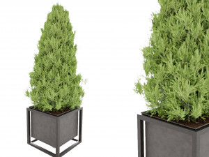 Collection Plant Vol 14 3D Model
