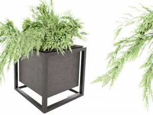 Collection Plant Vol 14 3D Model