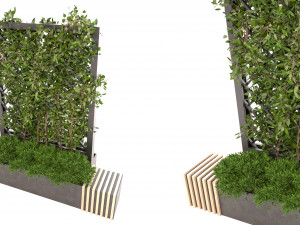 Collection plant vol 16 Modello 3D