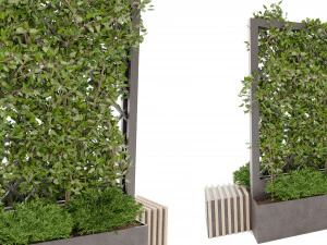 Collection plant vol 16 3D Model
