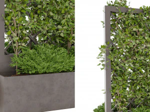 Collection plant vol 16 3D Model