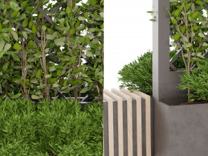 Collection plant vol 16 Modello 3D