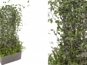 Collection Plant Vol 17 Modelo 3D