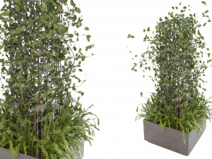 Collection Plant Vol 17 3D Model
