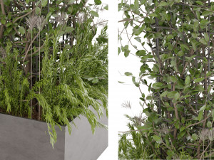 Collection Plant Vol 17 3D Model
