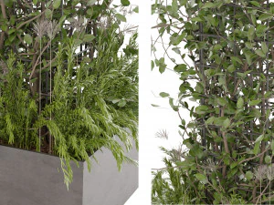 Collection Plant Vol 17 3D Model
