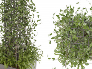 Collection Plant Vol 17 3D Model