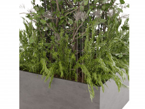 Collection Plant Vol 17 3D Model