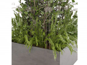 Collection Plant Vol 17 3D Model