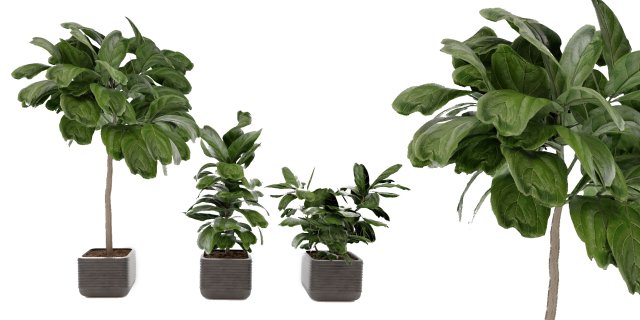 Collection Plant Vol 18 Modello 3D .c4d .max .obj .3ds .fbx .stl .blend 