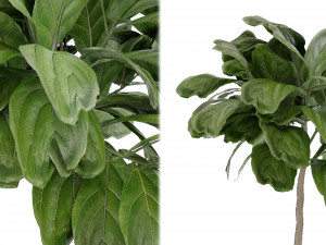 Collection Plant Vol 18 Modello 3D