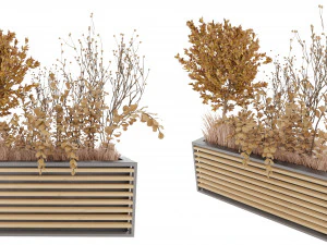 Pianta da collezione Vol 20 Modello 3D