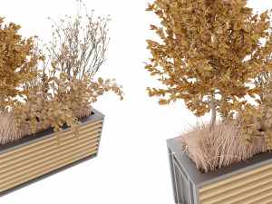 Collection Plant Vol 20 Modello 3D