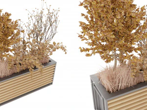 Collection Plant Vol 20 3D Model
