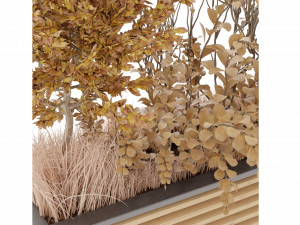 Collection Plant Vol 20 Modello 3D