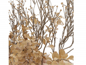 Collection Plant Vol 20 Modello 3D