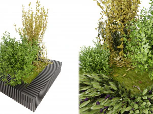 Koleksi Tanaman Vol 23 Model 3D