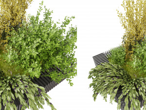 Collection Plant Vol 23 Model 3D