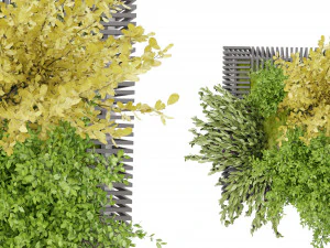 Collection Plant Vol 23 3D Model