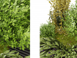 Collection Plant Vol 23 Model 3D
