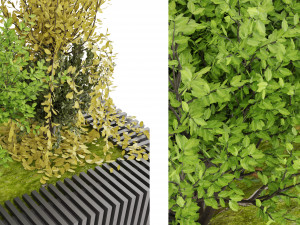 Collection Plant Vol 23 Model 3D