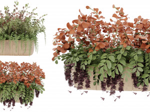 Collection Plant Vol 24 Model 3D