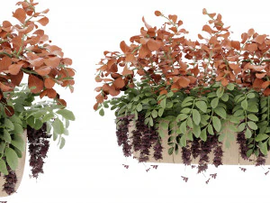 Collection Plant Vol 24 3D Model