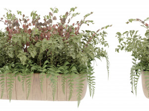 Collection Plant Vol 24 3D Modell