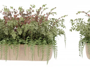 Collection Plant Vol 24 3D Model