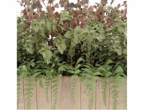 Collection Plant Vol 24 3D Modell