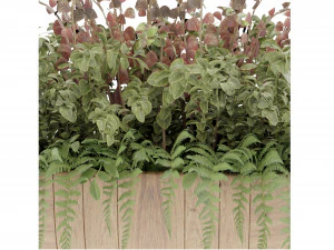 Collection Plant Vol 24 3D Model