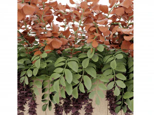 Collection Plant Vol 24 3D Model