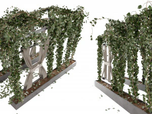 コレクションプラント Vol 28 3Dモデル