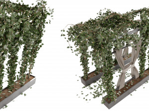 Collection Plant Vol 28 3D-Modell