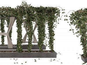 Collection Plant Vol 28 3D-Modell