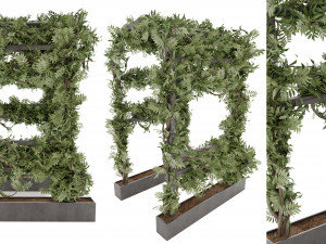 Collection Plant Vol 29 Modello 3D