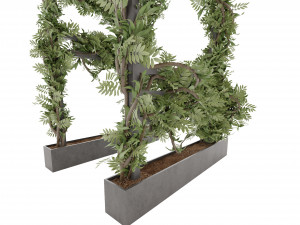 Collection Plant Vol 29 Modelo 3D