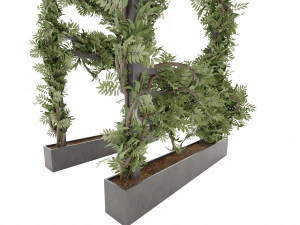 Collection Plant Vol 29 3D Model