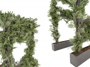 Collection Plant Vol 29 3D Model