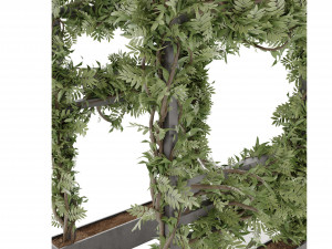 Collection Plant Vol 29 Modelo 3D