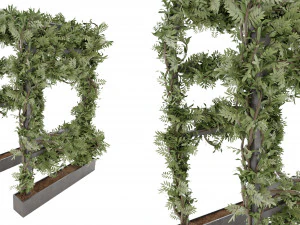 Collection Plant Vol 29 3D Model