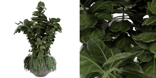 Collection Plant Vol 30 3D Model .c4d .max .obj .3ds .fbx .stl .blend 