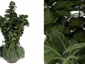 Collection Plant Vol 30 3D Model