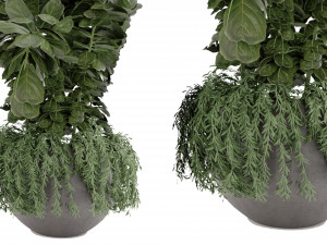 Collection Plant Vol 30 3D Model