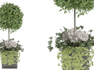 Collection Plant Vol 31 3D Model