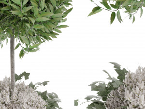 Collection Plant Vol 31 Modello 3D