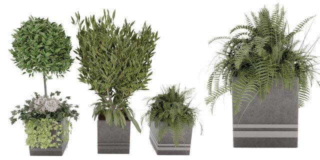 Collection Plant Vol 31 3D Модель .c4d .max .obj .3ds .fbx .stl .blend